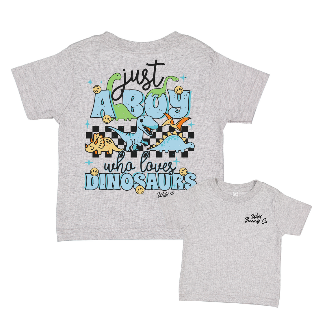 Boy Who Loves Dinosaurs Tee